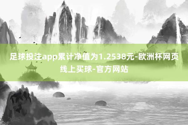 足球投注app累计净值为1.2538元-欧洲杯网页线上买球-官方网站