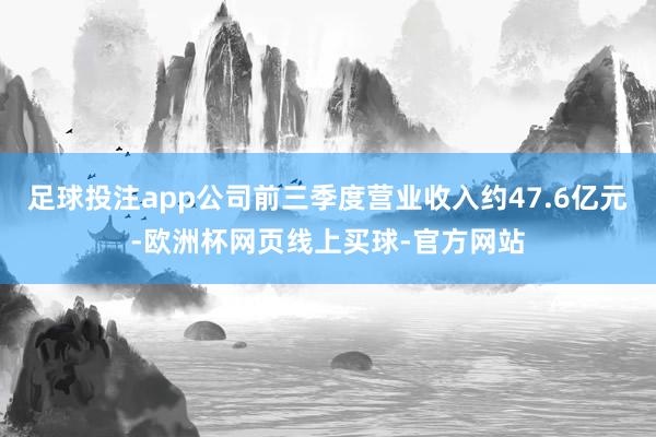 足球投注app公司前三季度营业收入约47.6亿元-欧洲杯网页