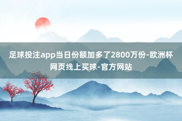 足球投注app当日份额加多了2800万份-欧洲杯网页线上买球-官方网站