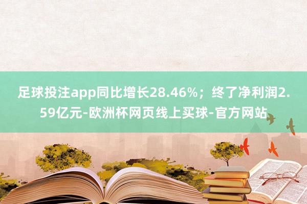 足球投注app同比增长28.46%；终了净利润2.59亿元-欧洲杯网页线上买球-官方网站