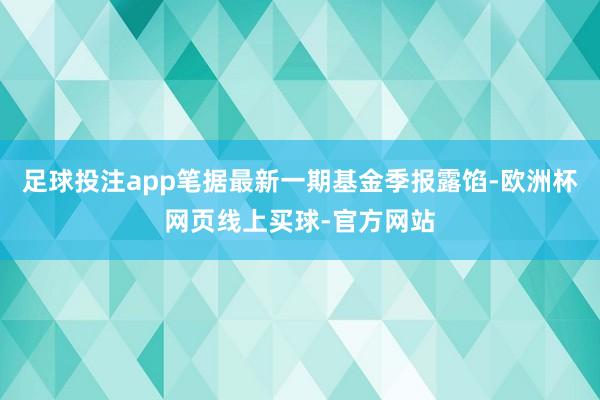 足球投注app笔据最新一期基金季报露馅-欧洲杯网页线上买球-官方网站