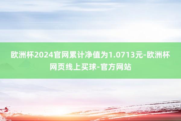 欧洲杯2024官网累计净值为1.0713元-欧洲杯网页线上买球-官方网站