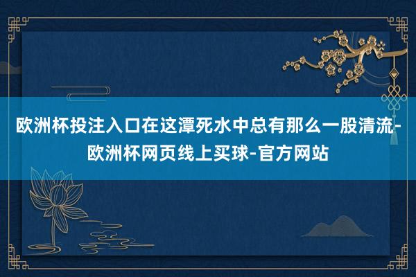 欧洲杯投注入口在这潭死水中总有那么一股清流-欧洲杯网页线上买