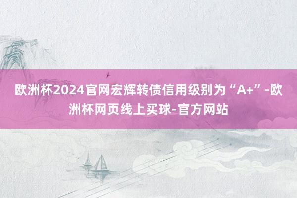 欧洲杯2024官网宏辉转债信用级别为“A+”-欧洲杯网页线上