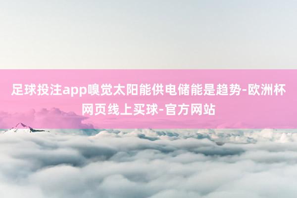 足球投注app嗅觉太阳能供电储能是趋势-欧洲杯网页线上买球-官方网站