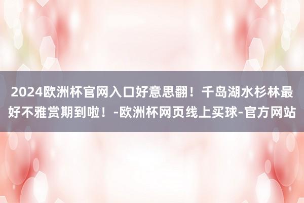 2024欧洲杯官网入口好意思翻！千岛湖水杉林最好不雅赏期到啦